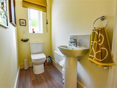 Picture 17